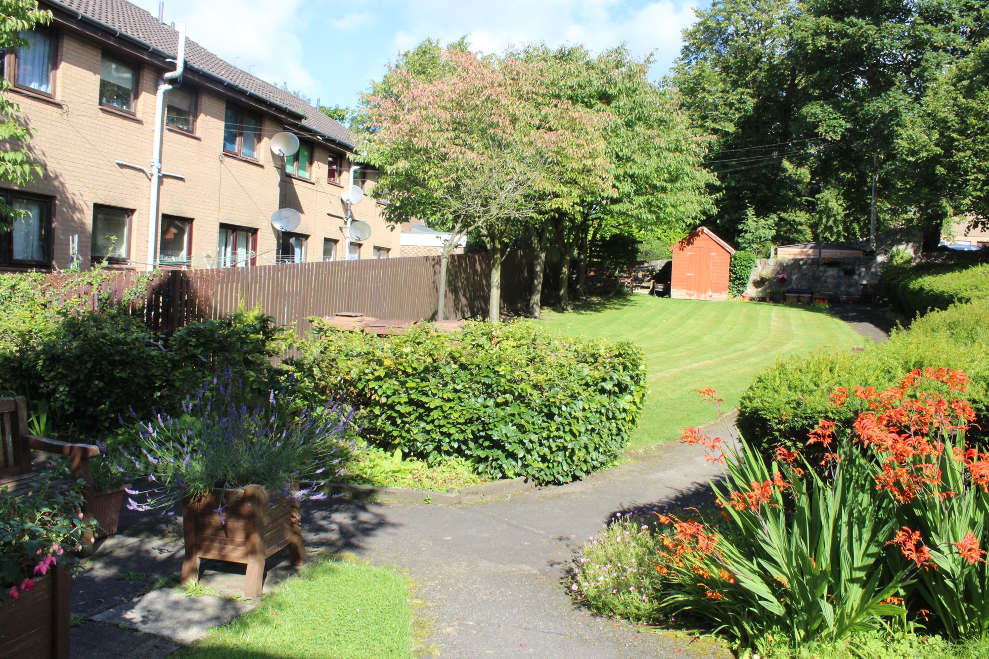 Bathgate Archives Cairn Housing Association